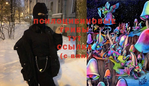 не бодяженный Аркадак