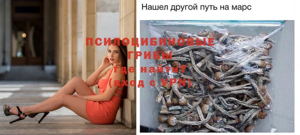 спайс Арсеньев