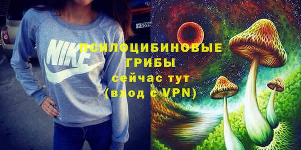 спайс Арсеньев
