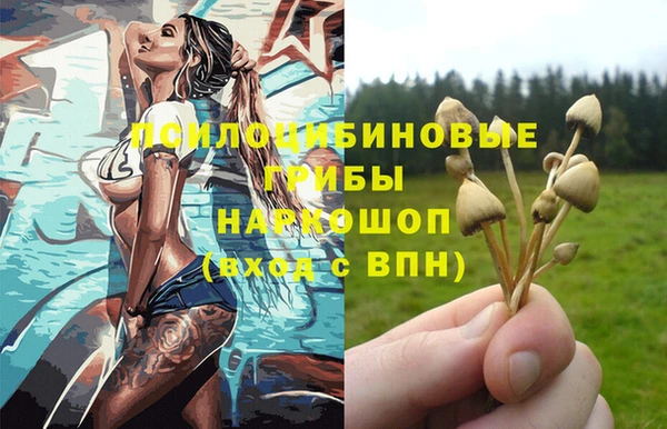 спайс Арсеньев