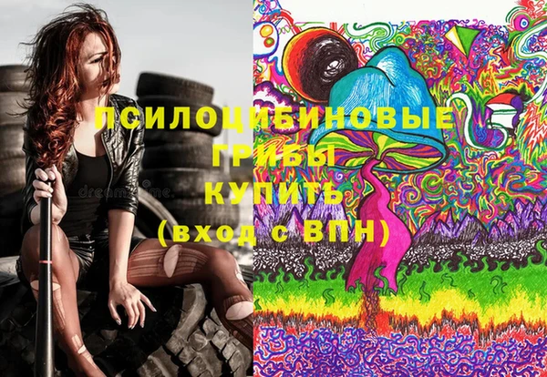 спайс Арсеньев