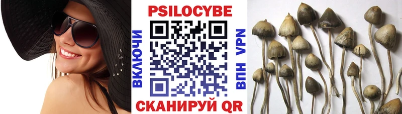 Псилоцибиновые грибы Cubensis  Разумное 